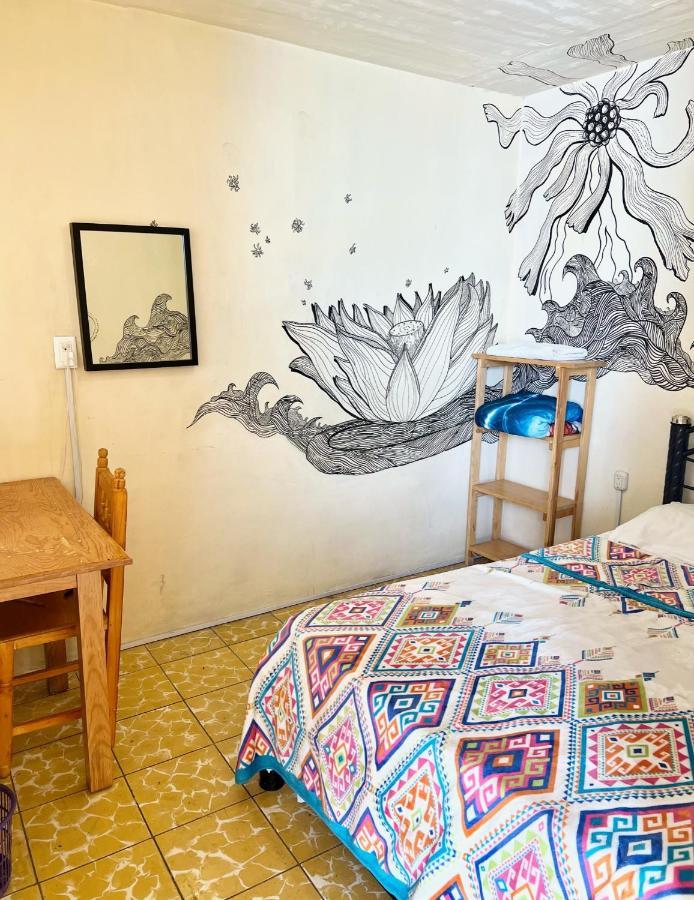 Los Nardos Hostel -Pet Friendly- Oaxaca Exterior foto